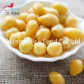 Healthy Chinese Snack vacuum Fried Gingko